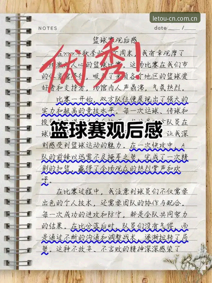 LETOU官网2026最新版本 资深用户实战分享:LETOU乐投体育2026新版使用心得,教你三步搞定官方下载与安装